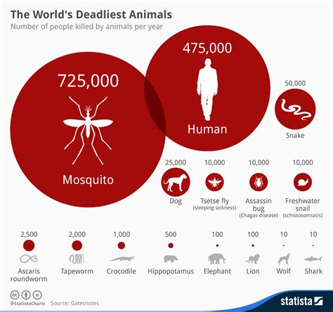 What Animal Kills The Most Humans? Exploring Natures Deadliest Predators