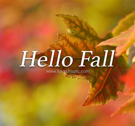 Hello Fall Pictures, Photos, and Images for Facebook, Tumblr, Pinterest ...