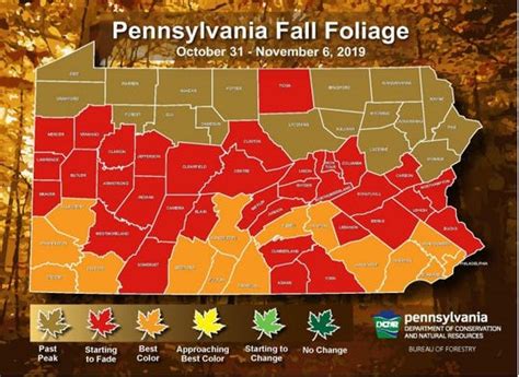 Pennsylvania fall foliage: Where are the leaves changing this weekend?