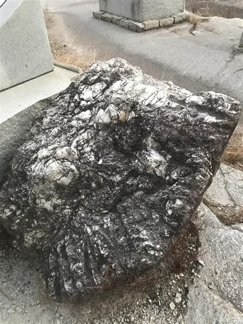 Is this a xenolith? : r/geology