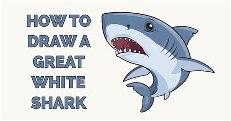 How to Draw a Great White Shark - Really Easy Drawing Tutorial