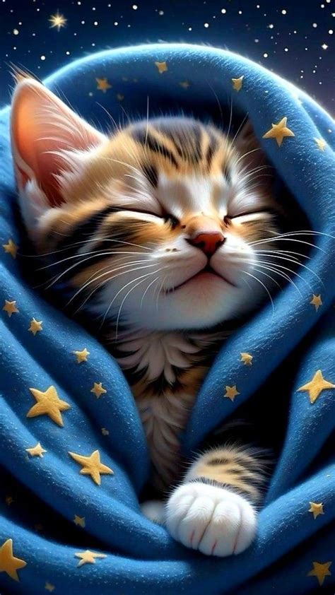 Pin by Johanne Picard on Belles images in 2024 | Cute cats, Baby cats ...