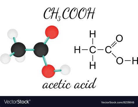 Ch3cooh acetic acid molecule Royalty Free Vector Image