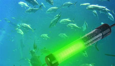 Top 10 Best Underwater Fishing Lights in 2020 Reviews l Guide