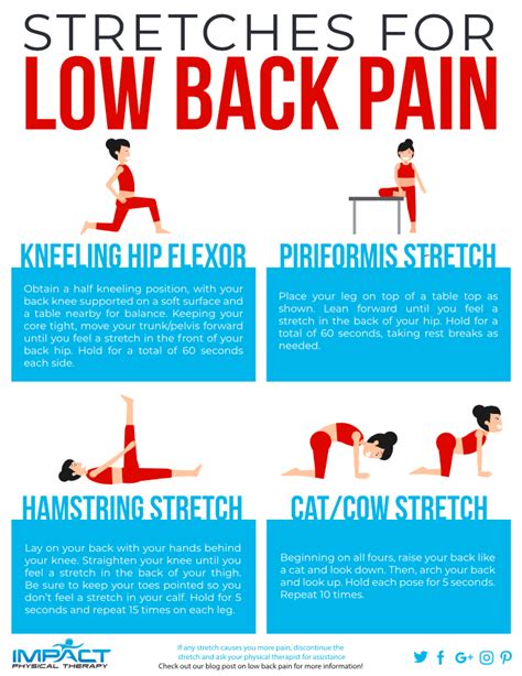 Stretches For Low Back Pain