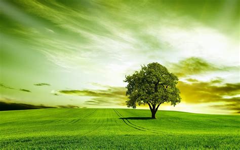 Nature Background Images Hd Sky / Sky Wallpapers And Hd Backgrounds ...