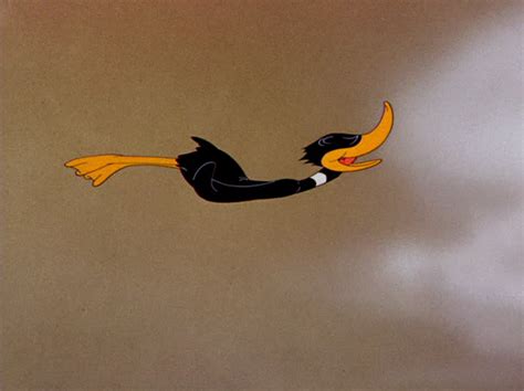 [Looney Tunes] Can Daffy Duck fly? : r/AskScienceFiction