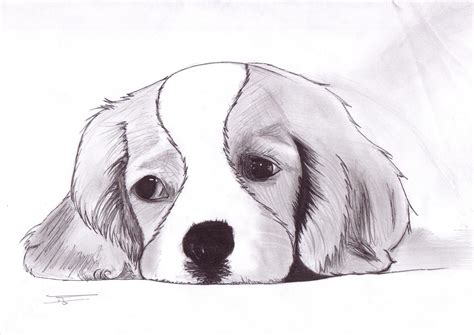 Dessin Facile Animaux Mignon Beau Collection Dessins D Animaux Trop ...