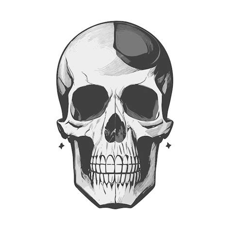 Premium Vector | Free vector vintage human skull concept halloween ...