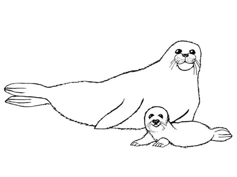 Free Printable Arctic Animals Coloring Pages - Coloring Home