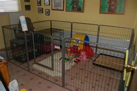 Awesome indoor puppy area | Dog playpen, Dog playpen indoor, Puppy pens