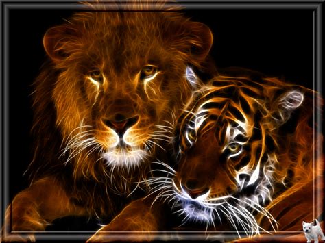 Lion and Tiger by polypheme64 on DeviantArt