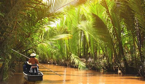 Where To Stay In The Mekong Delta: 7 Best Boutique Hotels - Rainforest ...