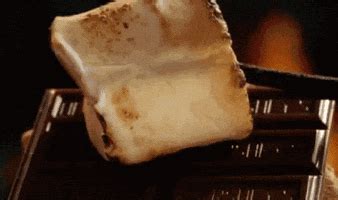 Chestnuts Roasting On An Open Fire GIFs - Find & Share on GIPHY