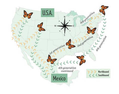 Monarch Butterfly Migration Map 2022