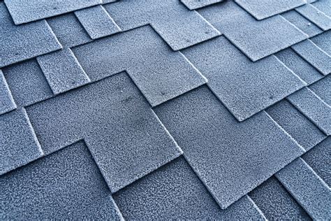 7 Types of Roof Shingles You Should Know About