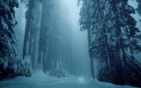 Natureza Inverno Árvore de neve Árvores Road Veículo Carro Frio Humor ...