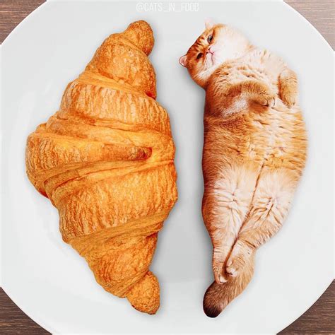 "Cat croissant" by Cats In Food. - relax it's only art