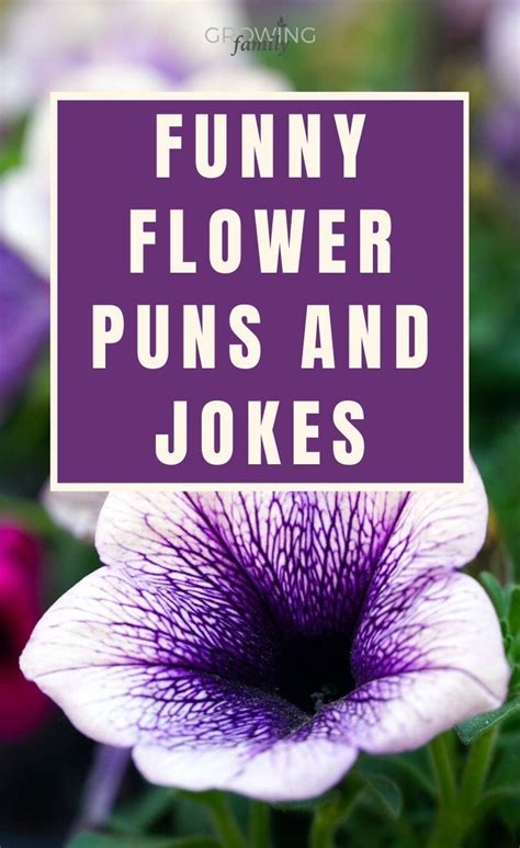 115 best flower puns and flower jokes to make your daisy - Growing ...