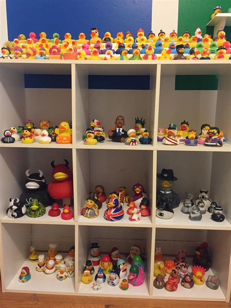 I have a substantial (500+) rubber duck collection but will no longer ...