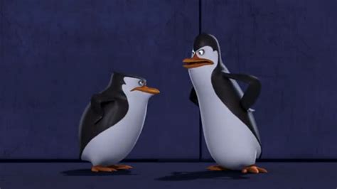 Kowalski And Skipper. - Penguins of Madagascar Photo (36901538) - Fanpop