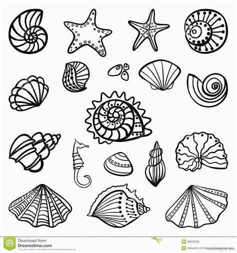 Coloring Pages Of Seashells - Coloring Home