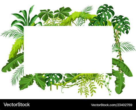 Background with jungle plants Royalty Free Vector Image