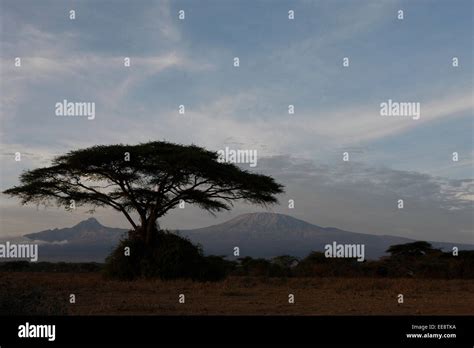 Sunrise on Mount Kilimanjaro Form kenya side Stock Photo - Alamy