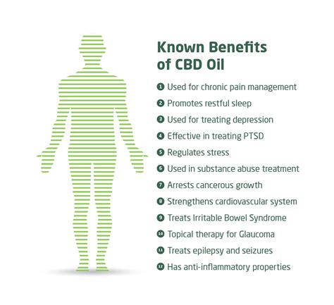 CBD Benefits - Cannalife | 2021 Best CBD Company in SA