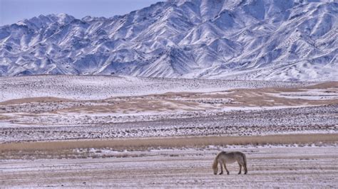 Learn About The Secrets Of The Cold Deserts Across The World