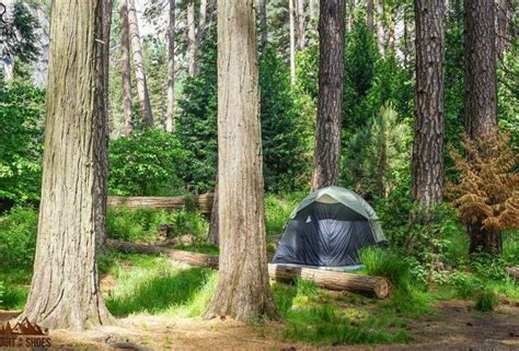 All About Camping in Yosemite National Park