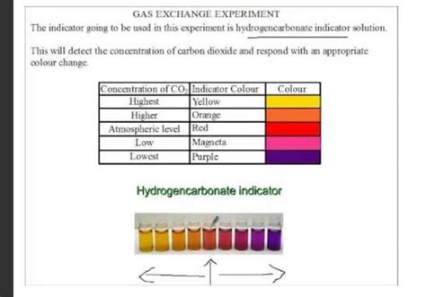 Hydrogencarbonate indicator : r/igcse