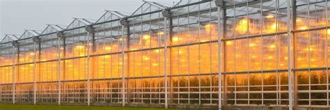 Greenhouse Lighting Systems Customized by GrowSpan