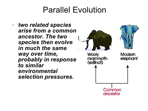 Biological Communities And Interaction