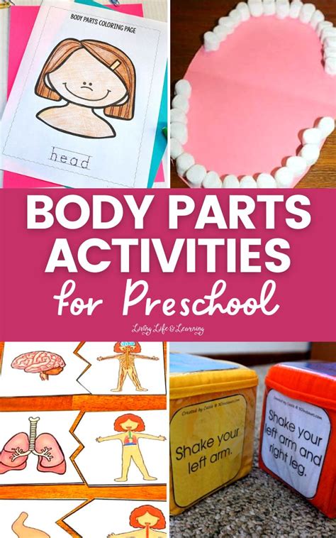 Body Parts Activities For Preschool Story