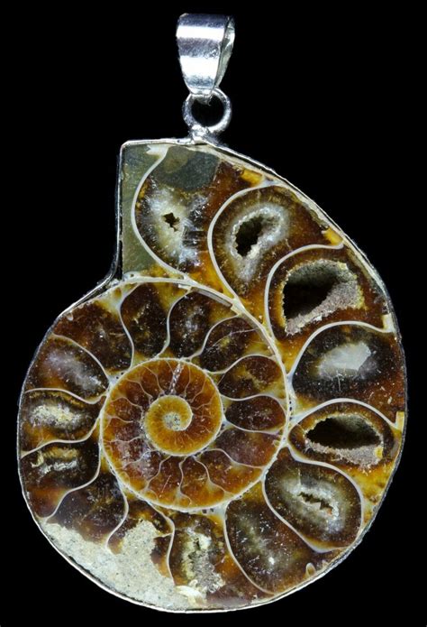 Fossil Ammonite Pendant - 110 Million Years Old (#89876) For Sale ...