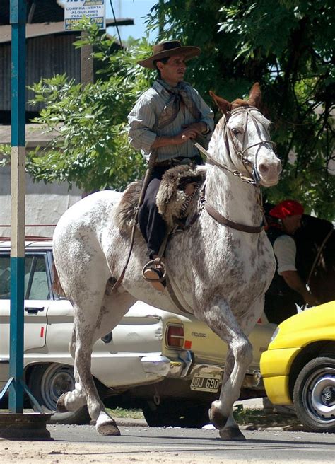 sabino 1 | Horses, Animals, Explore