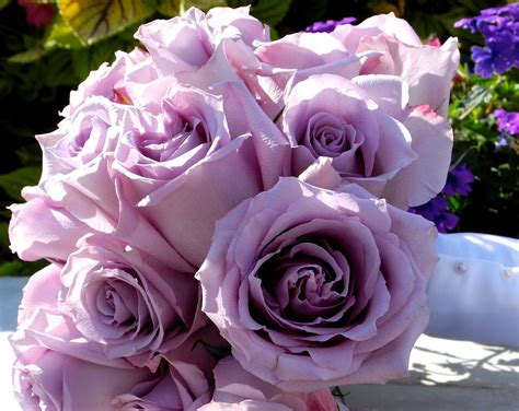 The Flower Girl Blog: lavender roses