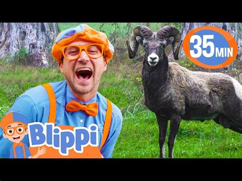 Blippi Visits an Animal Park! | BEST OF BLIPPI TOYS! | Animal Videos ...