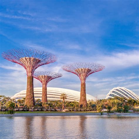 Gardens by the Bay | Singapore Sky Garden - Visit Singapore Official Site