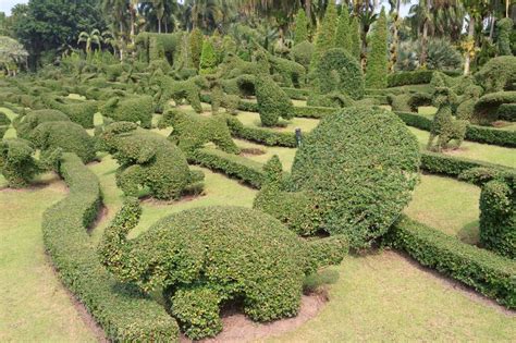 Garden with many topiary animals Outdoor Topiary, Topiary Garden ...