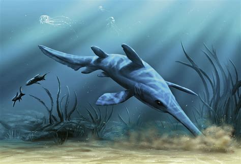 Prehistoric sharks were earliest animals to migrate