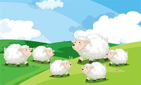 A group of sheep in field 359717 Vector Art at Vecteezy