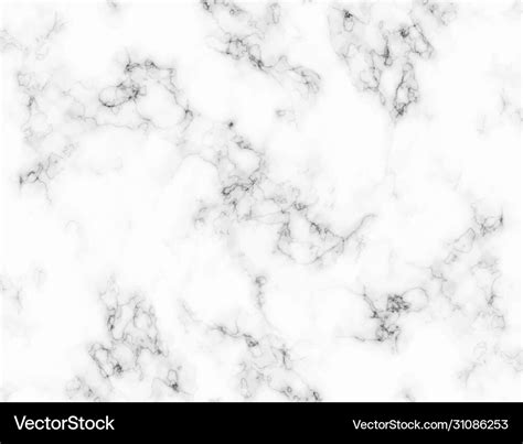 White and black marble texture Royalty Free Vector Image