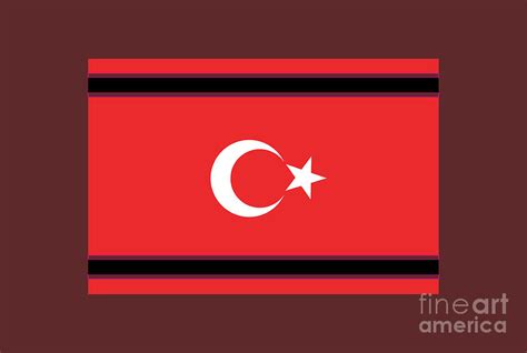 Aceh Flag Digital Art by Tom Adkins - Fine Art America