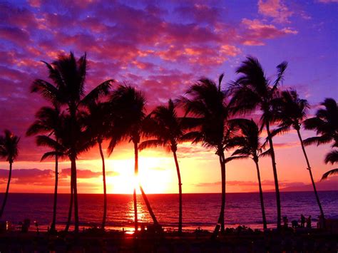 Hawaii Sunset Wallpaper - WallpaperSafari