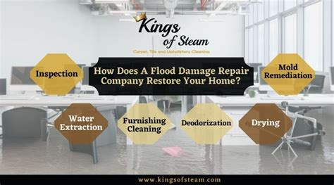 How Flood Damage Repair Company Helps | Castle Rock, CO