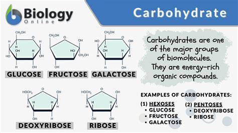 Carbohydrate Definition And Meaning - Enni_IM