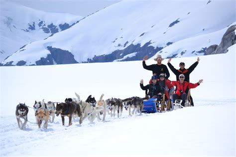 Juneau Day Tour; Dogsledding; Mendenhall Glacier; Helicopter Tour