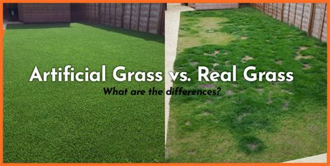 Artificial Grass vs. Real Grass – Artificial Grass Installation in Edmonton